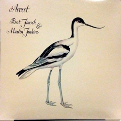 avocet