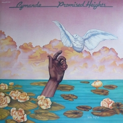 cymandee_promised_heights